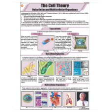 The Cell Theory For General Chart