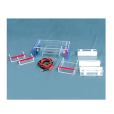 Horizontal Electrophoresis Apparatus