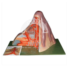 Volcano Model