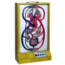 Electric Model of Blood Circulation