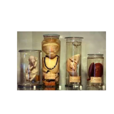 Showcase for Diseased Specimens