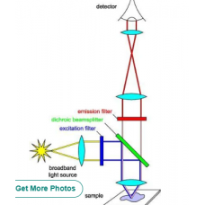 Fluorescence Filter