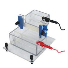 Paper And Gel Electrophoresis Apparatus