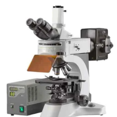 Fluorescence Microscope