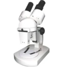 Stereo Microscope