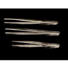 DISSECTING FORCEPS SPECIAL