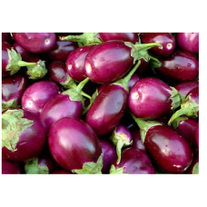 Purple Brinjal