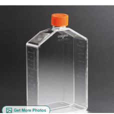 Cell Culture Flask