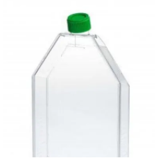 Tissue Culture Plastic Flask