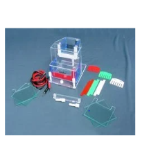 Vertical Electrophoresis Apparatus