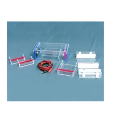 Horizontal Electrophoresis Apparatus