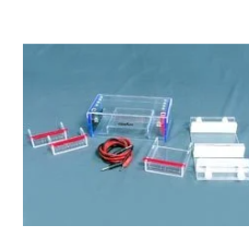 Horizontal Electrophoresis Apparatus