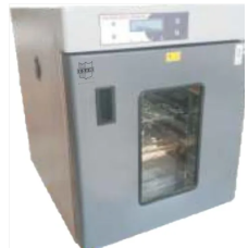 ESAW BACTERIOLOGICAL INCUBATORS