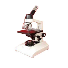 Compound Microscope