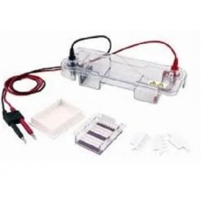 Horizontal Electrophoresis Tank