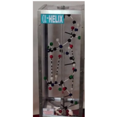 Alpha Helix Models