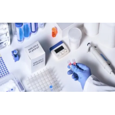 Covid 19 Rt Pcr Test Kit