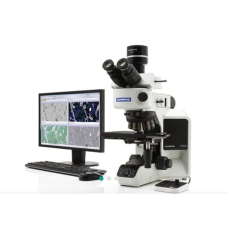 Optical Microscope