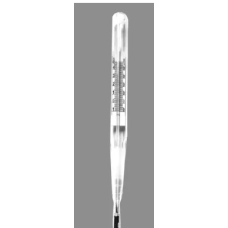 Pycnometer Thermometer