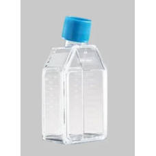 Glass Tissue Culture Flask