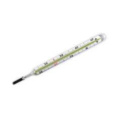 Mercury Thermometer