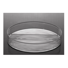 Glass Petri Dish