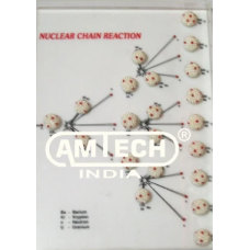 Nuclear Chain Reaction Model