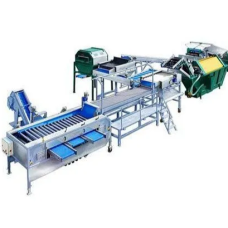 Onion Grading Machine