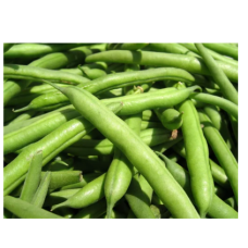 Green Beans