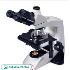 Ph Contrast Microscopy