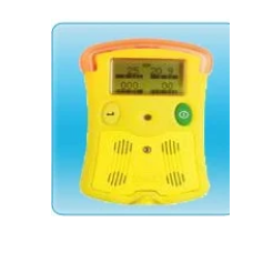 Portable Multi Gas Detector