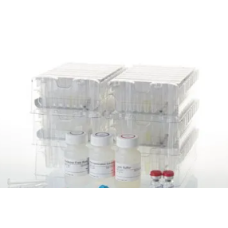 RNA Extraction Kit