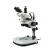 Dissecting Microscope