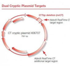 Abbott CT NG RealTime Assay