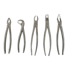 Tooth Forceps