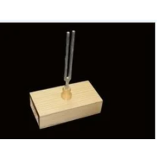 Tuning Fork On Resonance Box