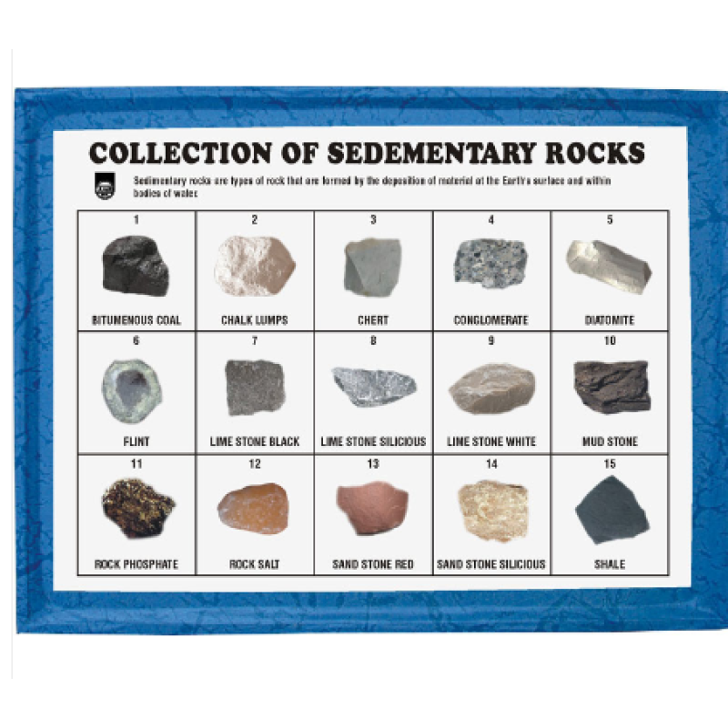 Sedimentary Rock Collection - Rock Collection Set