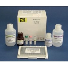 Wako Pure Chemicals, Diabetes & Obesity Research ELISA Kits