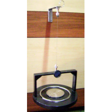 Torsion Pendulum