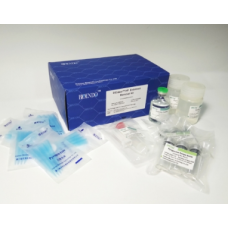 EtEraser™ HP Endotoxin Removal Kit