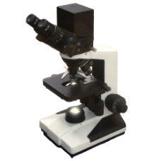 Binocular Pathological Microscope