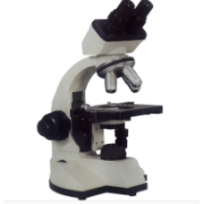 CXL Binocular Microscope