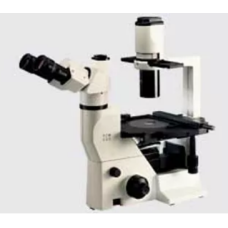 Labomed Microscope