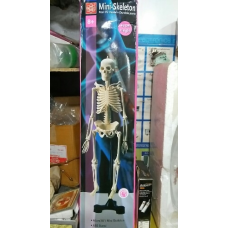 Mini Skeleton