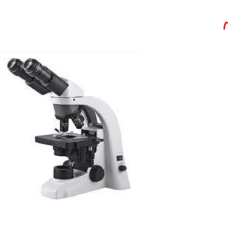 Stereoscopic Microscopes