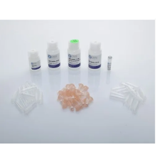 RNA Purification Kit