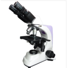 Binocular Microscope