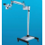 Dental Operating Microscope