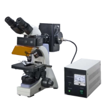 Fluorescent Microscope