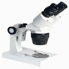 Stereo Microscope